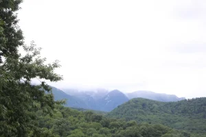 جاهای دیدنی گرگان