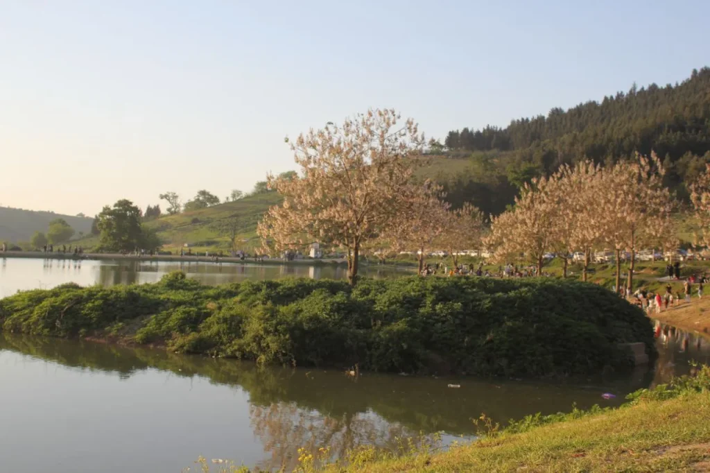 جاهای دیدنی گرگان